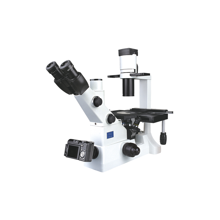 XD-202顯微鏡_江南永新專業生產顯微鏡